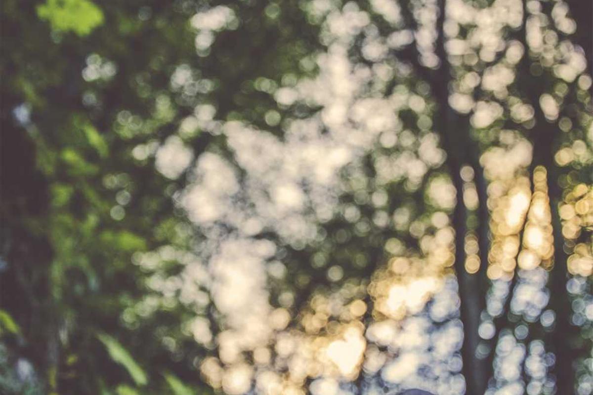 Luxe Beauty - Desktop View