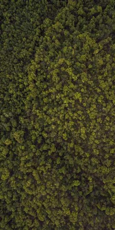 Velocity Sports - Mobile View