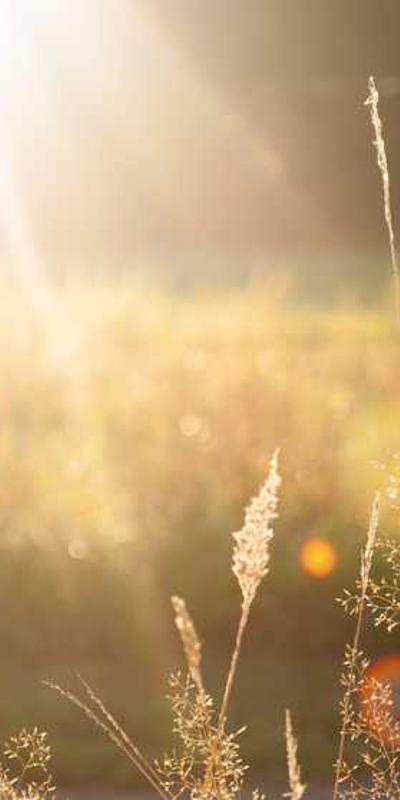 Sparkle Jewelry - Mobile View