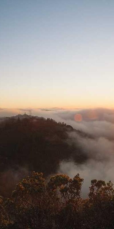 Canvas Creative - Mobile View